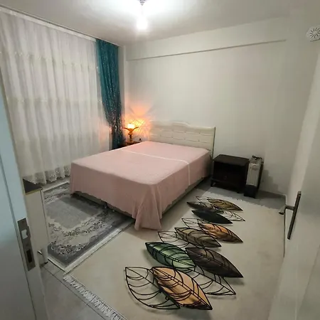 Soem Elaia House